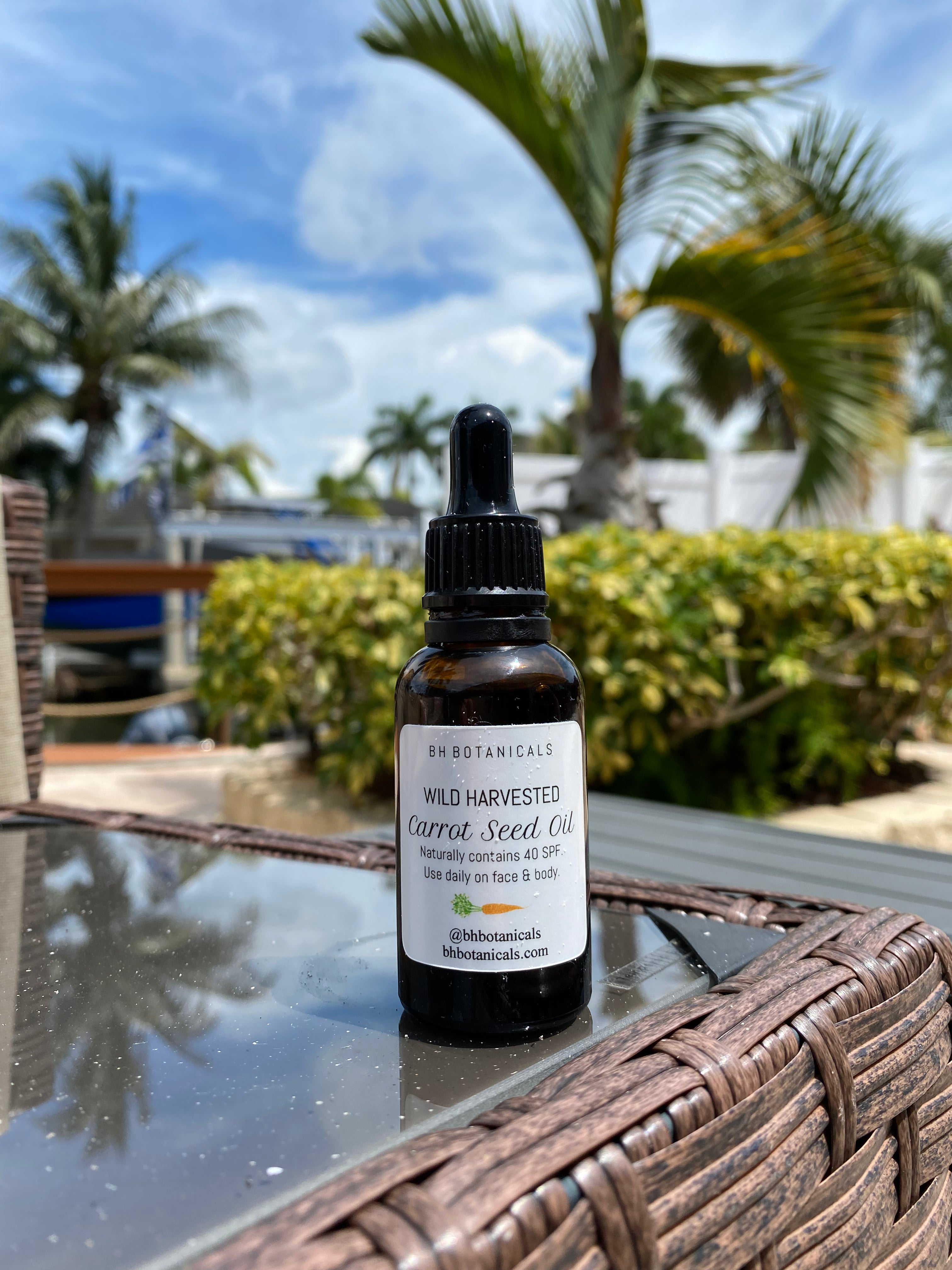 Carrot Seed Oil 40 SPF – BH Botanicals